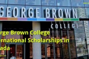 George Brown College International Scholarships in Canada