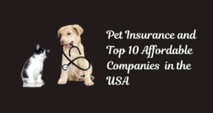 Pet Insurance