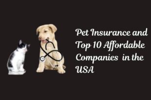 Pet Insurance