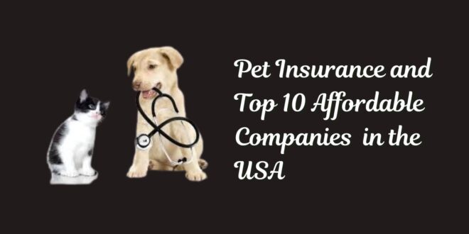 Pet Insurance